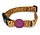 Morso halsband hond gerecycled jungle drum oranje