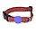 Morso halsband hond gerecycled urban lizard rood