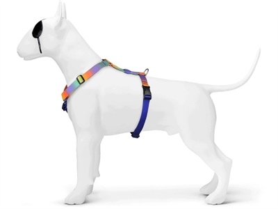 Morso Morso hondentuig y-tuig gerecycled spring blossom Morso Morso hondentuig y-tuig gerecycled spring blossom