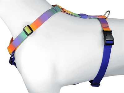 Morso Morso hondentuig y-tuig gerecycled spring blossom Morso Morso hondentuig y-tuig gerecycled spring blossom