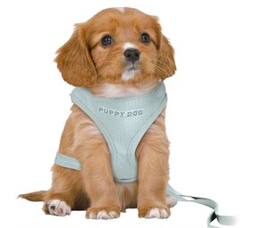 Trixie Trixie hondentuig junior puppy softtuig met riem mintgroen Trixie Trixie hondentuig junior puppy softtuig met riem mintgroen