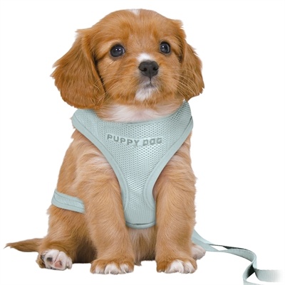 Trixie Trixie hondentuig junior puppy softtuig met riem mintgroen Trixie Trixie hondentuig junior puppy softtuig met riem mintgroen