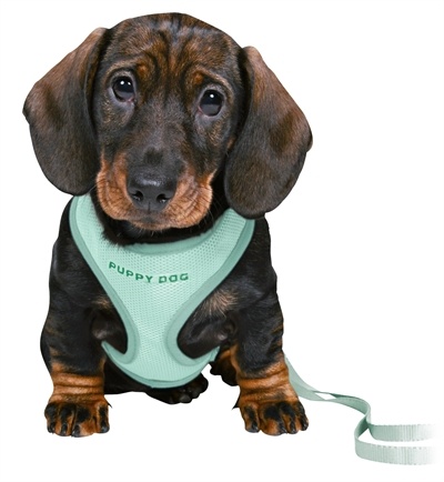 Trixie Trixie junior puppytuig soft met riem mintgroen Trixie Trixie junior puppytuig soft met riem mintgroen