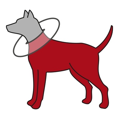 Trixie Trixie beschermkraag schuimrubber grijs Trixie Trixie beschermkraag schuimrubber grijs