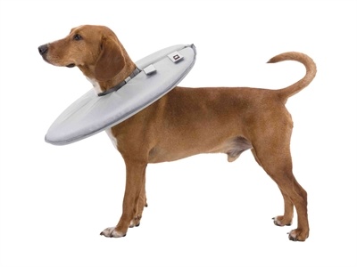 Trixie Trixie beschermkraag schuimrubber grijs Trixie Trixie beschermkraag schuimrubber grijs