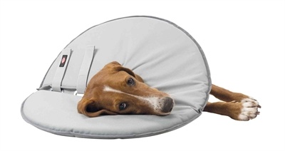 Trixie Trixie beschermkraag schuimrubber grijs Trixie Trixie beschermkraag schuimrubber grijs