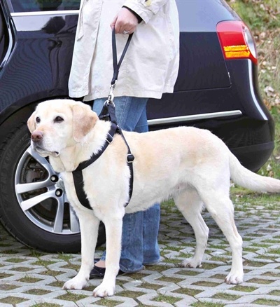 Trixie Trixie autogordel korthouder universeel zwart Trixie Trixie autogordel korthouder universeel zwart