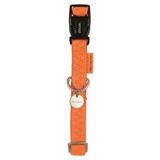 Macleather Macleather halsband oranje