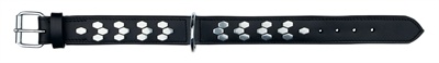 Trixie Trixie halsband hond active leer met applicaties zwart