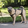 Petsafe Petsafe carelift voor en achter Petsafe Petsafe carelift voor en achter