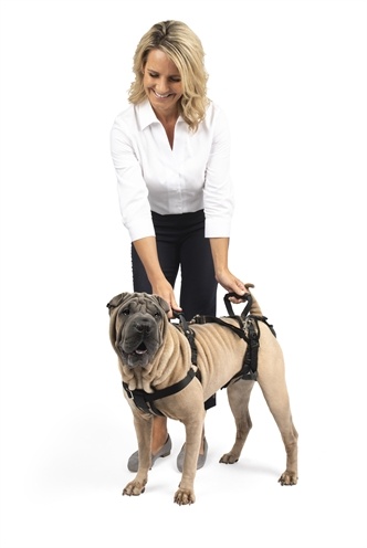 Petsafe Petsafe carelift voor en achter Petsafe Petsafe carelift voor en achter