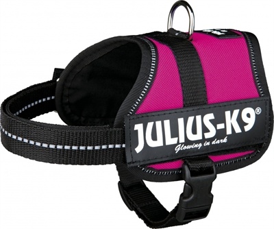 Julius k9 Julius k9 power-harnas / tuig voor labels fuchsia