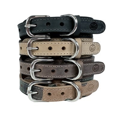 Sazzz halsband hond pioneer classic leer zwart