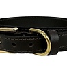 Sazzz halsband hond pioneer classic leer creme Sazzz halsband hond pioneer classic leer creme