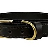 Sazzz halsband hond pioneer classic leer creme Sazzz halsband hond pioneer classic leer creme