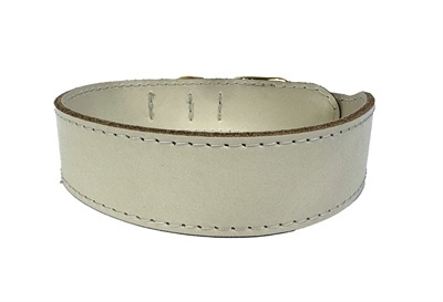 Sazzz halsband hond pioneer classic leer taupe