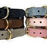Sazzz halsband hond braveheart classic leer zwart Sazzz halsband hond braveheart classic leer zwart