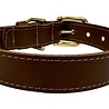 Sazzz halsband hond braveheart classic leer taupe Sazzz halsband hond braveheart classic leer taupe