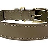 Morso Morso halsband hond waterproof gerecycled carribean green groen Morso Morso halsband hond waterproof gerecycled carribean green groen