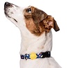 Morso Morso halsband hond gerecycled spaghetti incident Morso Morso halsband hond gerecycled spaghetti incident