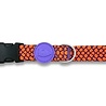 Morso Halsband hond | Gerecycled | Rood / Roze | Morso Morso Halsband hond | Gerecycled | Rood / Roze | Morso
