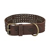 Trixie Trixie halsband hond rivet rustic vetleer donkerbruin Trixie Trixie halsband hond rivet rustic vetleer donkerbruin