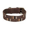 Trixie Trixie halsband hond rivet rustic vetleer donkerbruin Trixie Trixie halsband hond rivet rustic vetleer donkerbruin