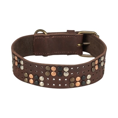 Trixie Trixie halsband hond rivet rustic vetleer donkerbruin Trixie Trixie halsband hond rivet rustic vetleer donkerbruin