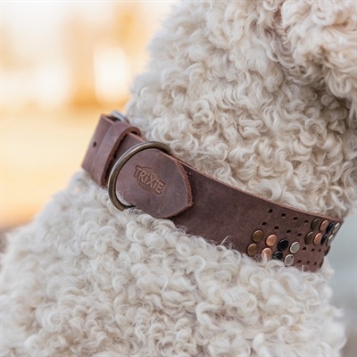 Trixie Trixie halsband hond rivet rustic vetleer donkerbruin Trixie Trixie halsband hond rivet rustic vetleer donkerbruin