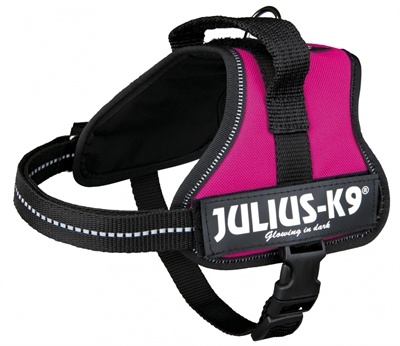 Julius k9 Julius k9 power-harnas / tuig voor labels fuchsia