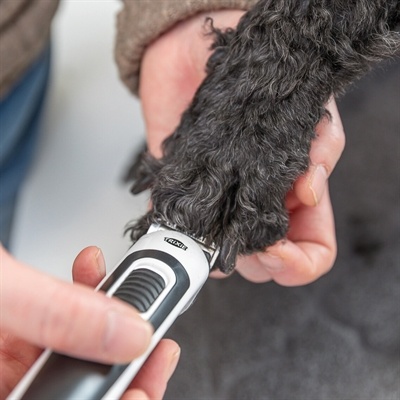 Trixie Trixie tondeuse set tr500 slim draadloos wit / zwart Trixie Trixie tondeuse set tr500 slim draadloos wit / zwart