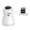 Numaxes Eyenimal pet vision live hd camera zonder geluid detectie Numaxes Eyenimal pet vision live hd camera zonder geluid detectie