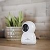 Numaxes Eyenimal pet vision live hd camera zonder geluid detectie Numaxes Eyenimal pet vision live hd camera zonder geluid detectie