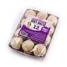 Suet to go Suet to go premium vetbollen met insecten Suet to go Suet to go premium vetbollen met insecten
