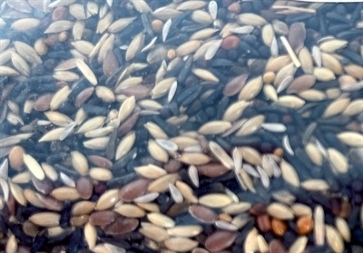 Utopia Utopia putters en sijsjes mix