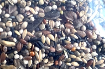 Utopia Utopia goudvinken mix