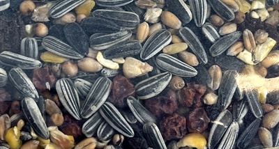 Utopia Utopia vinken mix