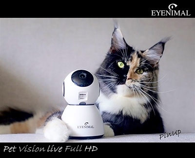 Eyenimal Eyenimal pet vision live hd camera met geluidsdetectie