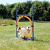 Trixie Trixie dog activity agility ring blauw / oranje Trixie Trixie dog activity agility ring blauw / oranje