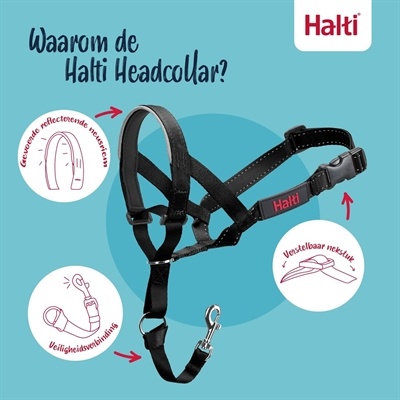 The company of animals Company of animals halti headcollar zwart The company of animals Company of animals halti headcollar zwart