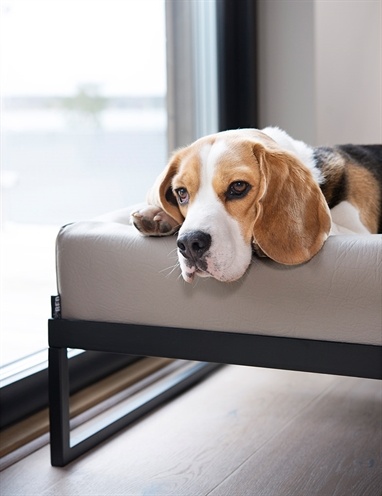 Bia Bia air frame voor bia bed zwart Bia Bia air frame voor bia bed zwart