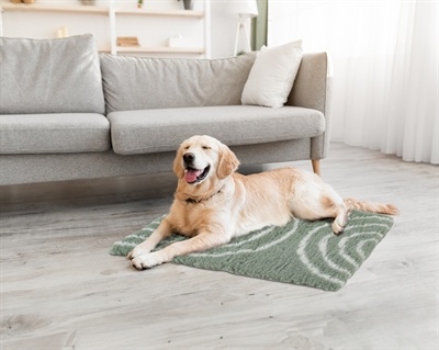 Zolux Zolux hondendeken vetbed boog groen