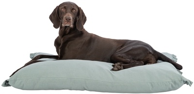 Trixie Trixie hondenkussen amelie hoekig saliegroen Trixie Trixie hondenkussen amelie hoekig saliegroen