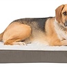 Trixie Trixie vitaal orthopedisch kussen taupe/lichtgrijs Trixie Trixie vitaal orthopedisch kussen taupe/lichtgrijs