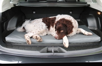 Bia Bia bed matras ligbed grijs Bia Bia bed matras ligbed grijs