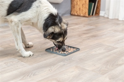 Trixie Trixie lick'n'snack mat siliconen donkergrijs