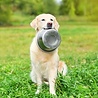 Happy pet Happy pet voerbak rvs Happy pet Happy pet voerbak rvs