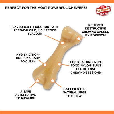 Nylabone Nylabone power chew harde bijters kipsmaak Nylabone Nylabone power chew harde bijters kipsmaak
