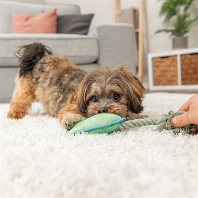 Trixie Trixie dierenpoot met touw groen Trixie Trixie dierenpoot met touw groen