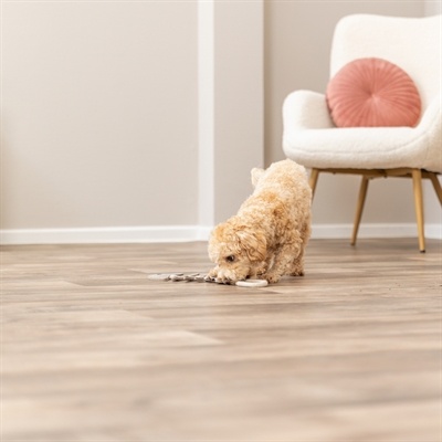 Trixie Trixie visgraat leer met touw Trixie Trixie visgraat leer met touw